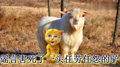 畜牲有腦，拾人牙慧。手執廢柴來堆砌打一正确生肖详细解答、构建解答解释落实