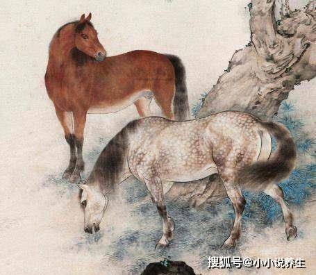 四不两立长恨丽打一正确生肖，全面释义、科学解答解释落实