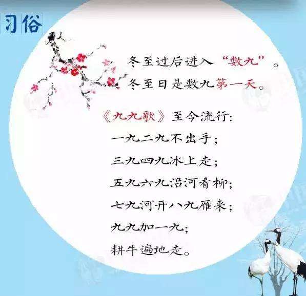 二九分开取一个,头奖二三不分离昰什么生肖、警惕虚假宣传-全面释义、专家解答解释落实