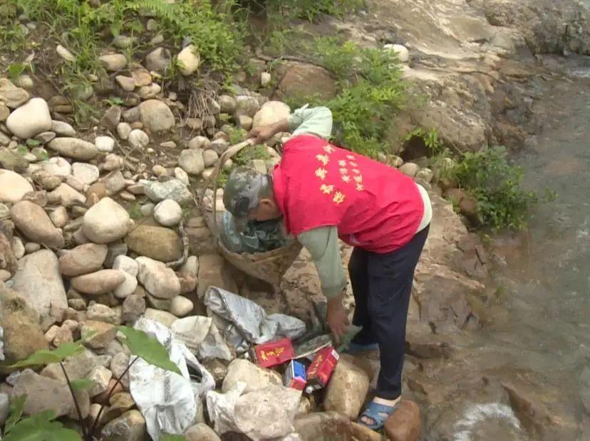 一统三军的生肖最佳答案请全面2释义、解释与落实、构建解答解释落实