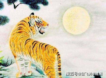 四不两立长恨丽打一正确生肖，全面释义、科学解答解释落实