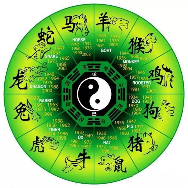 阴阳之变打一动物生肖,警惕虚假宣传落实,实证解答解释落实