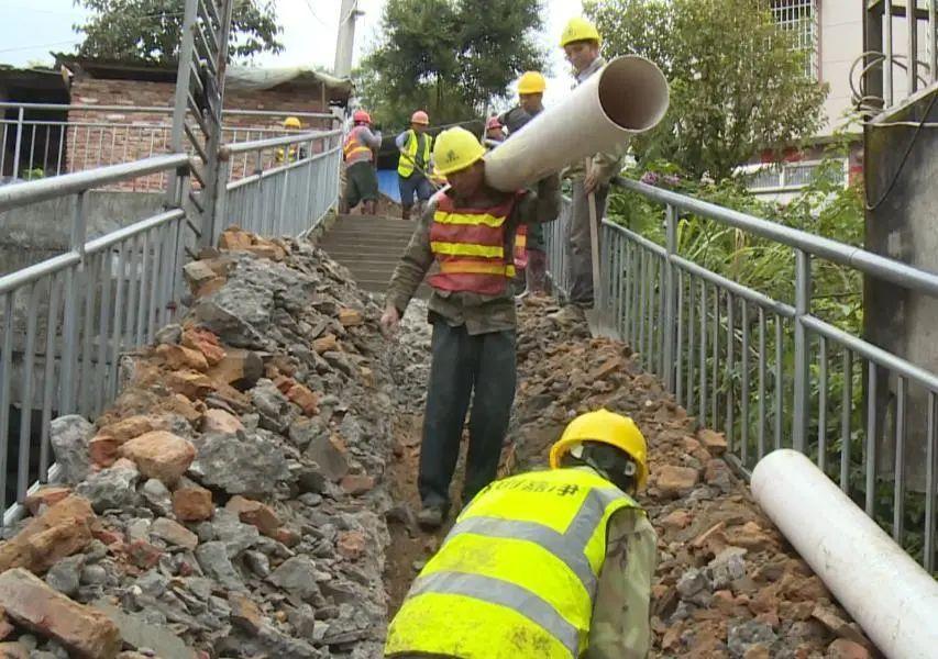 鸡飞狗跳打一个生肖仔细释义、解释与落实、构建解答解释落实