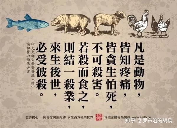 求存活,除异己,非我族类请受死是指什么生肖详细解答、解释与落实、全面解答解释落实