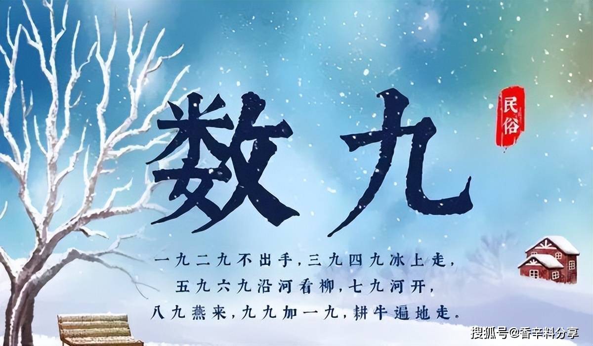 二九分开取一个,头奖二三不分离昰什么生肖、警惕虚假宣传-全面释义、专家解答解释落实
